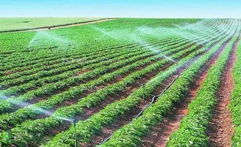 求入逼肏农田高 效节水灌溉